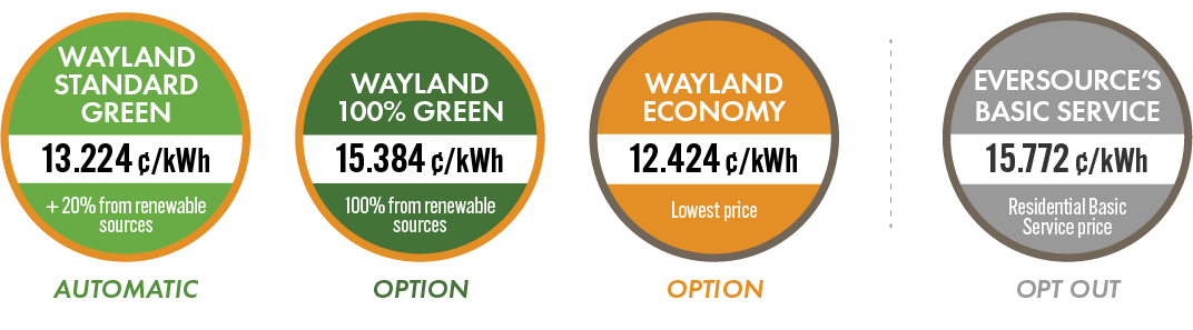 Graphic showing the three program options, Eversource’s residential basic service, and their prices.