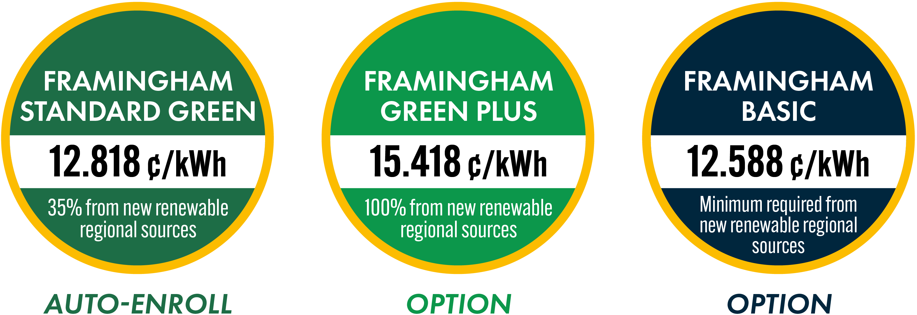 Graphic showing the three options, their renewable energy content, and their prices.