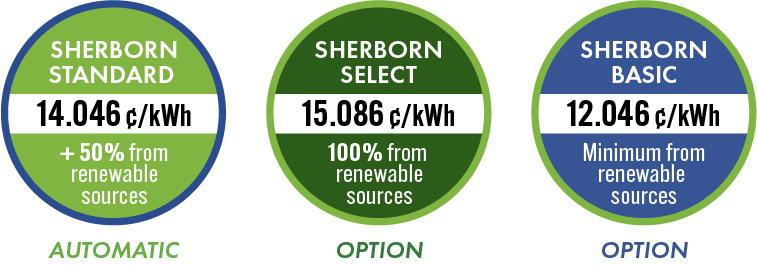 Graphic showing the three program options, their renewable energy content, and their prices.