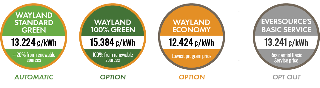 Graphic showing the three program options and their prices.