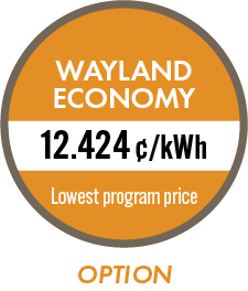 Wayland Economy - option 