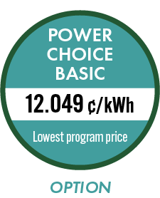 Power Choice Basic - option